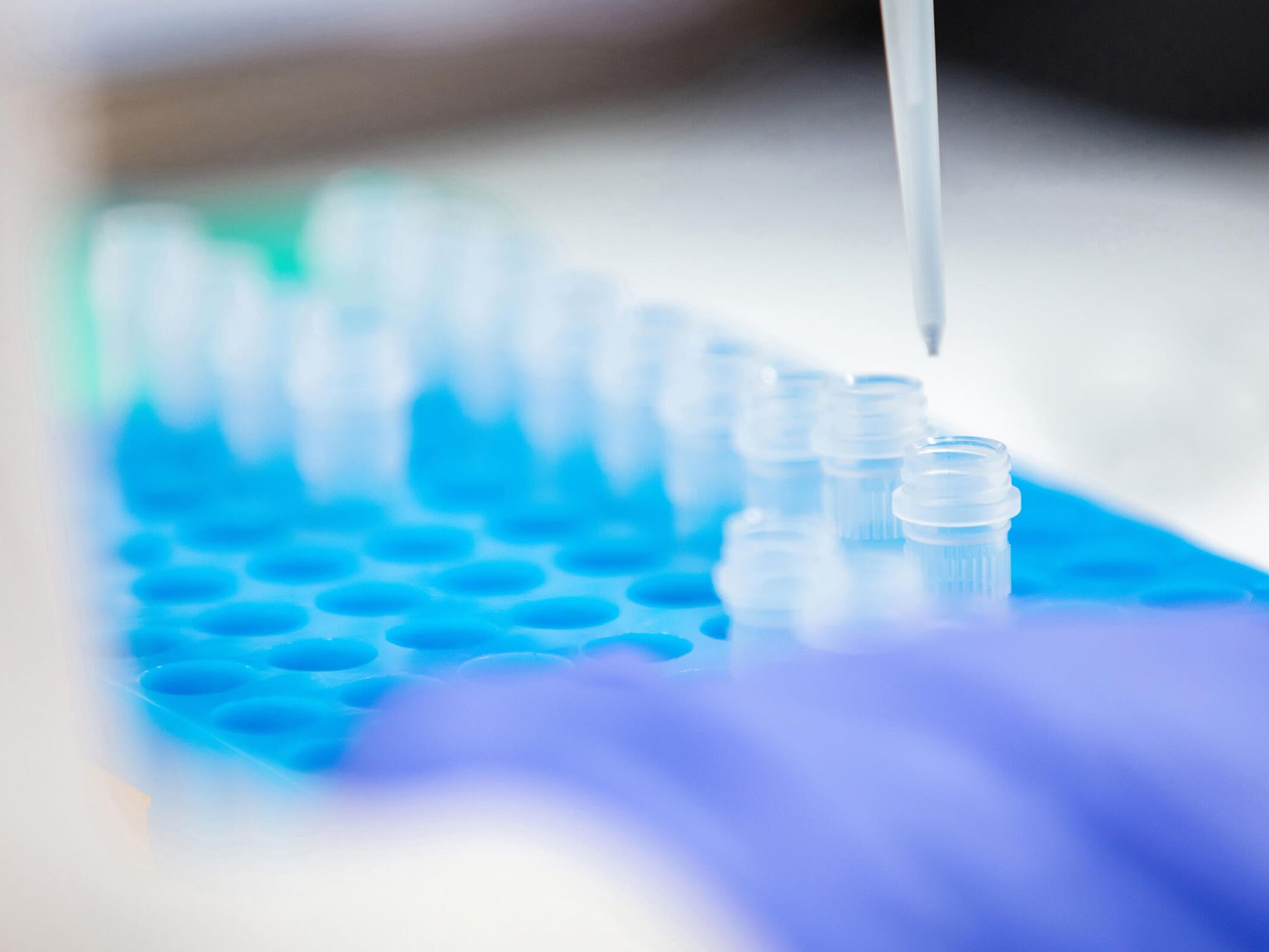Pipette above a blue rack of tubes