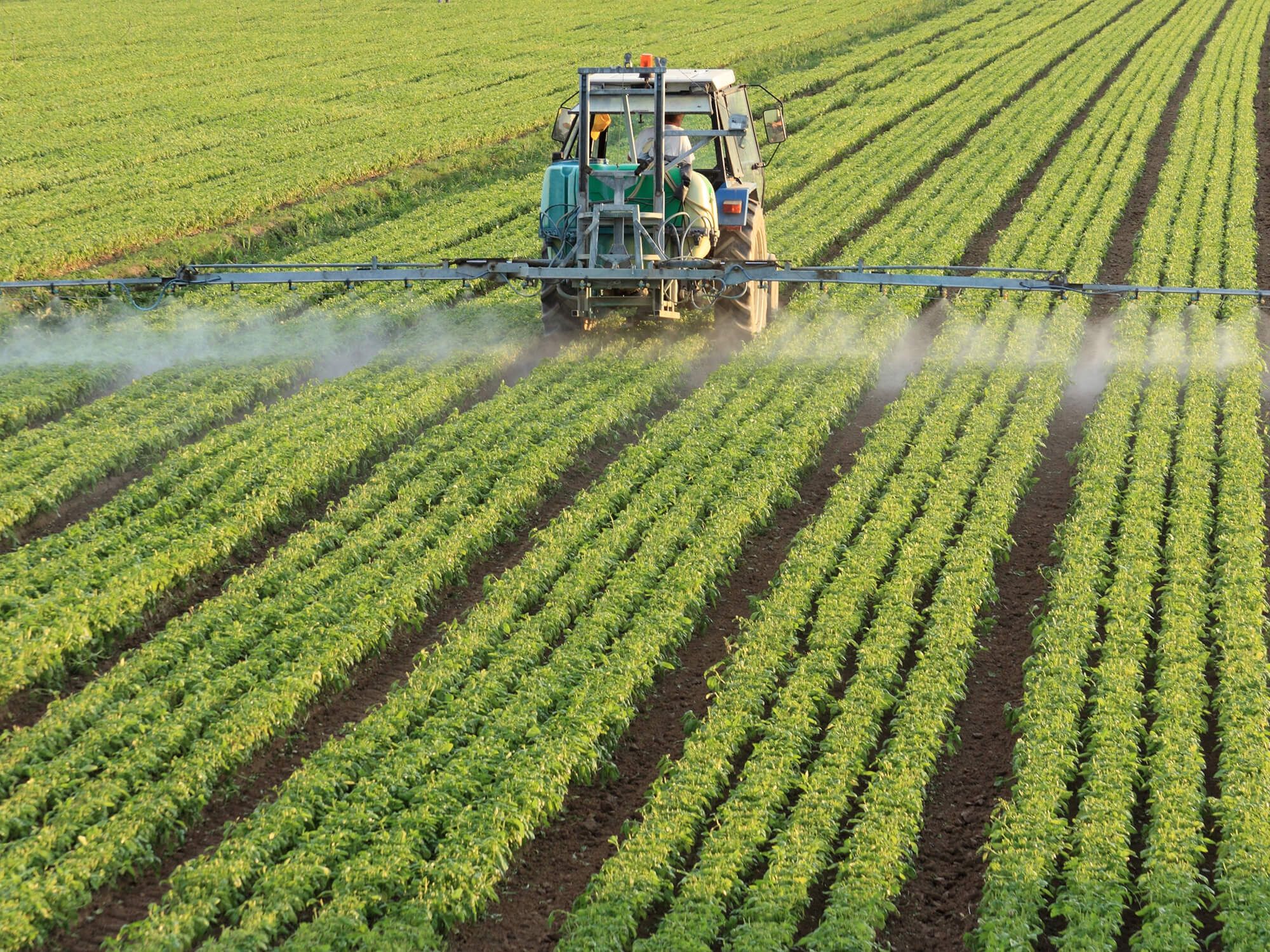 Trattamento di un campo agricolo: l’origine dei campioni per l’analisi dei residui